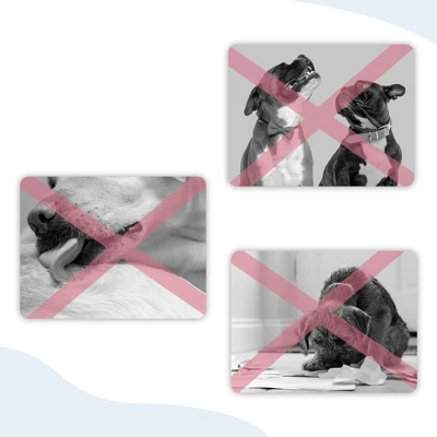 Unique Bargains Dog Muzzle With Reflective Adjustable Strap Gray 1 Pc 7 Unique Bargains Dog Muzzle With Reflective Adjustable Strap Gray 1 Pc - Image 5