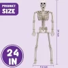 Joyfy 1/2 PCS 24" Posable Skeleton Halloween Decorative Props For Indoor/Outdoor Halloween Decorations, Graveyard Haunted House Spooky Scene Party -Target GUEST 05684d08 dba1 4805 a4d4 26672ba87814