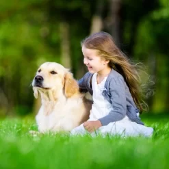 Unique Bargains Dog Muzzle With Reflective Adjustable Strap Gray 1 Pc 11 Unique Bargains Dog Muzzle With Reflective Adjustable Strap Gray 1 Pc -Target GUEST 0636f91e f156 4acf b3d8 2fe4dc808f39