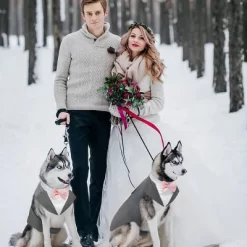 Kuoser Dog Tuxedo Dog Suit And Bandana Set, Dogs Tuxedo Wedding Party Suit, Dog Prince Wedding Bow Tie Shirt Formal Dog Wedding Attire, Gray - Medium -Target GUEST 0db7d1ab 2847 488f a032 b1fb1506191b