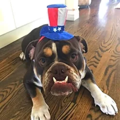 Midlee Uncle Sam 4th Of July Hat For Large Dogs Headband- Captain Halloween Costume -Target GUEST 105b81d1 3d41 44a5 9b36 08580f33b47c