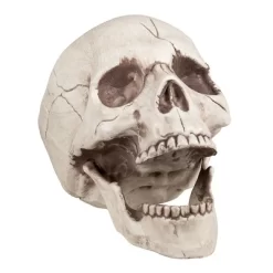 Boland Skull With Movable Jaw Halloween Decoration