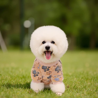 Paaaawaters Dog Fuzzy Velvet Pajamas, Dog Winter Clothes For Small Dogs Boy Girl, Pet Jumpsuit, Doggy Apparel 6 Paaaawaters Dog Fuzzy Velvet Pajamas, Dog Winter Clothes For Small Dogs Boy Girl, Pet Jumpsuit, Doggy Apparel - Image 4