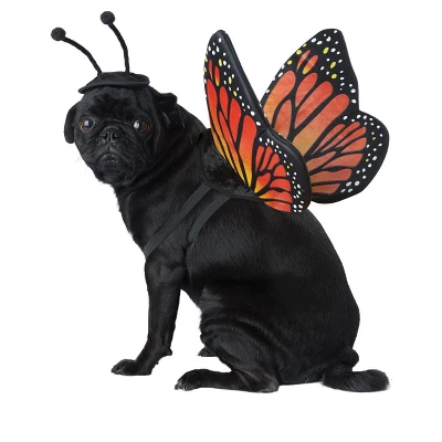 California Costumes Monarch Butterfly Pet Costume, X-Small 3 California Costumes Monarch Butterfly Pet Costume, X-Small