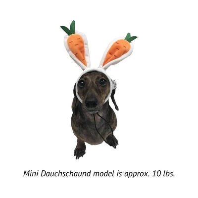 Midlee Carrot Bunny Ears Easter Dog Headband Costume 9 Midlee Carrot Bunny Ears Easter Dog Headband Costume - Image 7