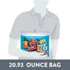 HERSHEY'S Chocolate And Sweets Assorted Halloween Candy Miniatures - 20.93oz/65pc -Target GUEST 18ea0277 cb80 4bdb b7b5 bd544fb60b45