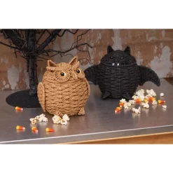 C&F Home Owl Handwoven Halloween Premium Trick Or Treat Candy Basket Container -Target GUEST 1cba39d6 8838 432c 8772 31ad7569944e 1