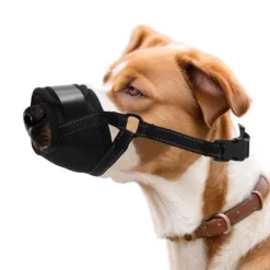 Unique Bargains Breathable Dog Muzzle Black 1 Pc -Target GUEST 1d3720d2 28d2 439b b034 adea6d7e15c5