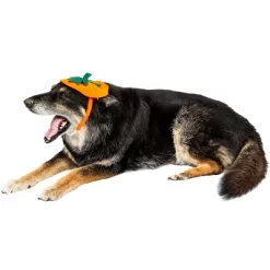 Midlee Dog Pumpkin Headband Halloween Costume -Target GUEST 1e40140d c939 4ca8 ad85 195176285518