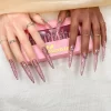 Vynxaria Pink Versatile Press-On Nails For Any Outfit Size M -Target GUEST 2860d175 cafd 4aae 893d 26d9eb6e6e19