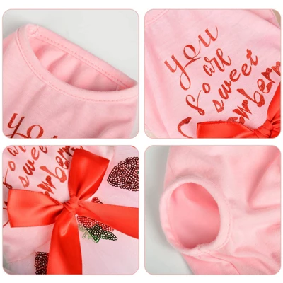 Paaaawaters Small Pet Dog Cat Tutu Lace Dress Puppy Ballet Skirt Princess Apparel Clothes 7 Paaaawaters Small Pet Dog Cat Tutu Lace Dress Puppy Ballet Skirt Princess Apparel Clothes - Image 5