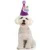 Unique Bargains Halloween Pet Headwear 4.33"x4.33" Purple 1 Pc -Target GUEST 2c814638 7e34 4cb6 b7a7 53028856ee16