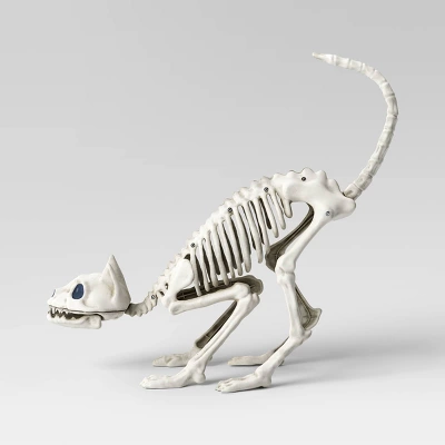 21" Cat Skeleton Halloween Decorative Prop - Hyde And EEK! Boutique™: Indoor/Outdoor Eerie Decor 4 21" Cat Skeleton Halloween Decorative Prop - Hyde And EEK! Boutique™: Indoor/Outdoor Eerie Decor - Image 2