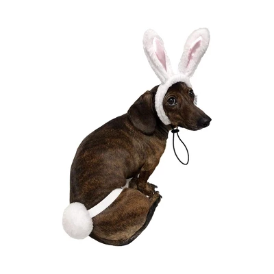 Midlee White Bunny Ears For Dogs With Tail 4 Midlee White Bunny Ears For Dogs With Tail - Image 2