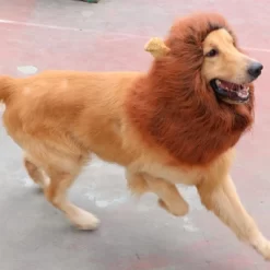 Lion Mane For Dog Costumes, Realistic Wig For Medium To Large Sized Dogs, Halloween Costumes -Target GUEST 3d4c6b90 0ecf 4b1a 868f 3779f6f29eb9