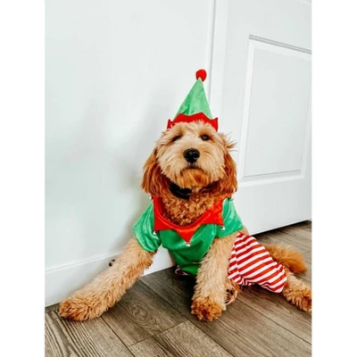 Midlee Dog Elf Costume 5 Midlee Dog Elf Costume - Image 3