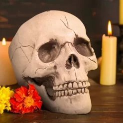 Boland Skull With Movable Jaw Halloween Decoration -Target GUEST 43fbfedd b081 4fb7 bb99 5b4e213c4fc6