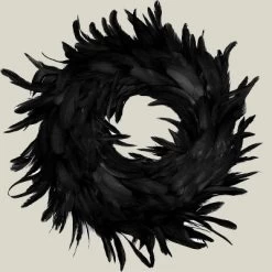 Joyfy Halloween Decorations 13.5in Black Feather Wreath, Party Decor Porch Patio Window Indoor Outdoor Decor, Halloween Wreath Props Party Favors 17 Joyfy Halloween Decorations 13.5in Black Feather Wreath, Party Decor Porch Patio Window Indoor Outdoor Decor, Halloween Wreath Props Party Favors -Target GUEST 47ac99f4 ba3a 4801 be59 73cc03ae65c7