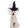 Unique Bargains Halloween Pet Headwear 5.12"x5.91" Purple 1 Pc