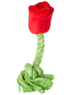 Rubies Beauty And The Beast Belle Pet Toy Bundle