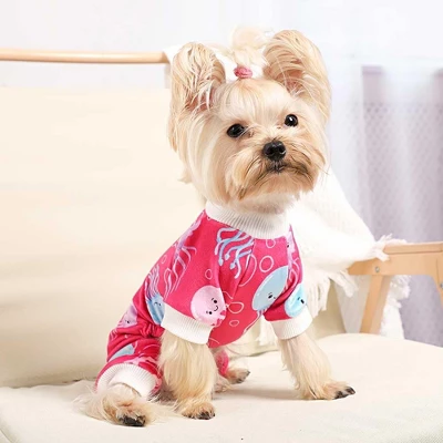 Paaaawaters Dog Jumpsuit Cute Cartoon Animal Print Velvet Puppy Warm Clothes 10 Paaaawaters Dog Jumpsuit Cute Cartoon Animal Print Velvet Puppy Warm Clothes - Image 8