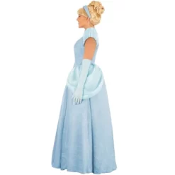 HalloweenCostumes.com Women's Disney Cinderella Halloween Costume | Adult Princess Costume For Themed Events -Target GUEST 4f5d7de9 4e79 46f5 ad68 ddce0d00457e