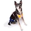 Midlee Yellow & Blue Polka Dot Dog Bikini (4XL) -Target GUEST 5029d2c1 3996 4482 bb8a 23c586ec45e5