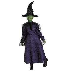 Disguise Wicked Girls' Elphaba Adaptive Halloween Costume Dress - Purple - 7-8