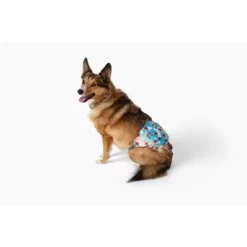 Midlee Christmas Pattern Reusable Dog Belly Bands - 2 Pack -Target GUEST 52748d20 80f7 40b9 af3c c4f820683f35