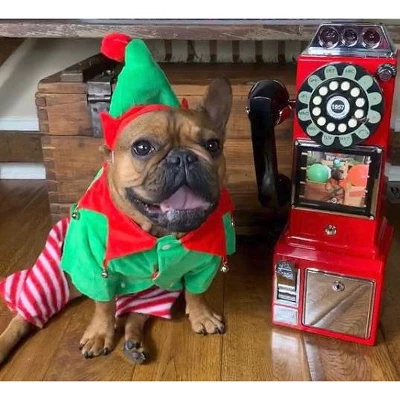 Midlee Dog Elf Costume 8 Midlee Dog Elf Costume - Image 6