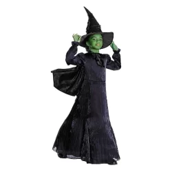 Disguise Wicked Girls' Elphaba Halloween Prestige Costume Dress - Black - 4-6