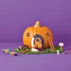 Halloween Craft Ceramic Pumpkin Décor Painting Kit - Mondo Llama™