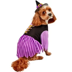 Rubies Purple Witch Pet Costume -Target GUEST 672dd32c 5f22 4682 ae17 0e935b831ef0