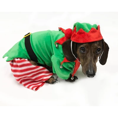 Midlee Dog Elf Costume 7 Midlee Dog Elf Costume - Image 5
