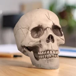 Boland Skull With Movable Jaw Halloween Decoration -Target GUEST 6b934114 92ee 42e1 9079 0da6add50e89