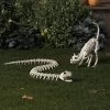 44" Snake Skeleton Halloween Decorative Prop - Hyde And EEK! Boutique™: Indoor/Outdoor Use -Target GUEST 6e5cb502 2804 4b56 b733 898df2b6117b