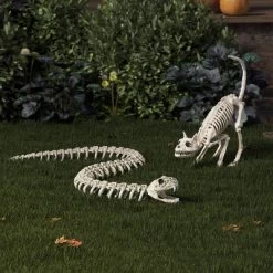 44" Snake Skeleton Halloween Decorative Prop - Hyde And EEK! Boutique™: Indoor/Outdoor Use