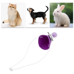 Unique Bargains Halloween Pet Headwear 4.33"x3.15" Purple 1 Pc -Target GUEST 6fe5da7b 2c9d 4c0b 9bf9 ac788f189e75