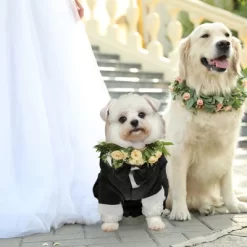 Unique Bargains Stylish Dog Tuxedo Black 1 Pc -Target GUEST 7761071b 2eaf 4f34 975a ed30410ab18c