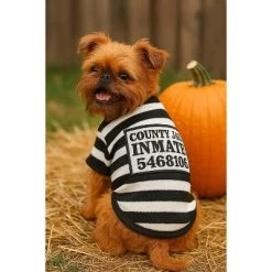Parisian Pet 'Furry Inmate' Black And White Stripes Halloween Costume - Funny Prison Design For Cats & Dogs -Target GUEST 7946952a a5f6 4c2d ba08 317f00a27a8d