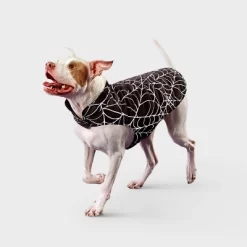 Reflective Spider Web Dog Vest - Boots & Barkley™ Black -Target GUEST 79ea2de8 3d4b 477b 96a5 dbc5bcd9c1ef