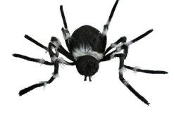 Sunstar 8.5 Ft. Wide Gigantic Spider