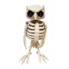 Animated Owl Skeleton Halloween Decoration -Target GUEST 8448424f 5a76 42e1 b85e 137ab5f271d0