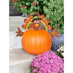 Decorae Halloween Pumpkin Decorating Kit, Turkey Set, 4 Reusable Metal Accessories For Fall Pumpkin Face Decorating W/ Turkey Body Parts -Target GUEST 8529aa99 13e1 4a30 bed8 536ceb0d6f62