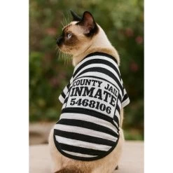 Parisian Pet 'Furry Inmate' Black And White Stripes Halloween Costume - Funny Prison Design For Cats & Dogs -Target GUEST 86f76240 6524 4e50 8068 36ccdd91bcec