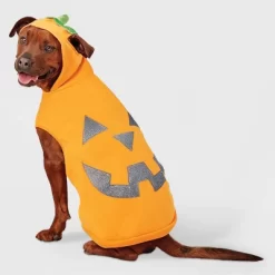 Jack-O'-Lantern Pumpkin Reflective Halloween Hoodie Dog And Cat Costume - Boots & Barkley™ -Target GUEST 89a637e2 6965 4708 be98 b84fb9e98413