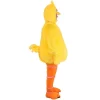 HalloweenCostumes.com Adult Plus Size Sesame Street Big Bird Halloween Costume -Target GUEST 8ba38586 8e31 4f6f 95ac 2e9ae6f54a03