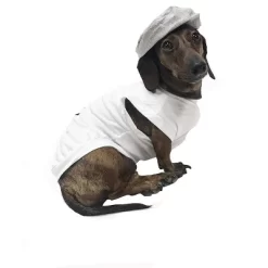 Midlee Salt & Pepper Dog Costume (Salt, X-Large) -Target GUEST 903c6465 de2f 45de be7d 8dc9a67a9a4d