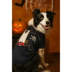 Parisian Pet 'Captain Spawrrow' Halloween Costume For Dogs & Cats – Fun Pirate Dog Costume, Pet Halloween Outfit, Red And Navy -Target GUEST 93623e3f b9dc 4c79 95f3 15ba5dae056d