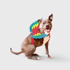 Parrot Wings Dog Costume Accessories - Boots & Barkley™ -Target GUEST 9466fe9f 0337 4451 9e3b a522d886e97a